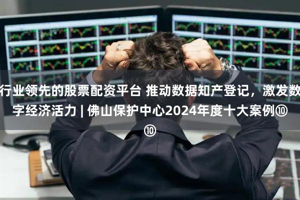 行业领先的股票配资平台 推动数据知产登记，激发数字经济活力 | 佛山保护中心2024年度十大案例⑩