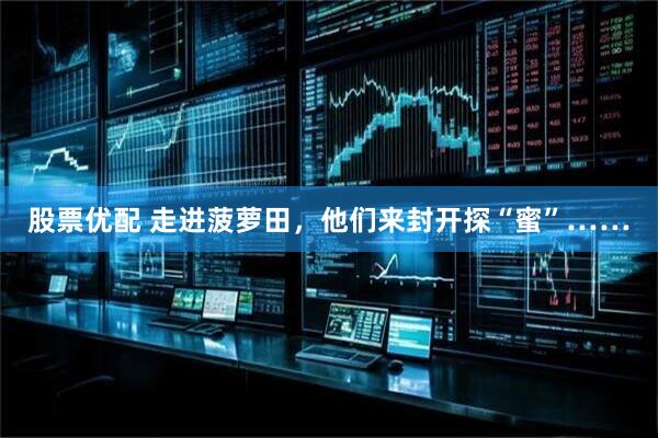 股票优配 走进菠萝田，他们来封开探“蜜”……